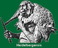 Heidelbergensis