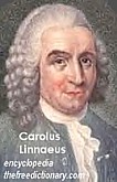 Carolus Linnaeus