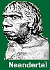 Neandertal