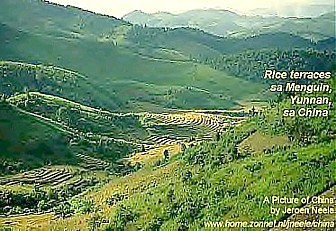 China terraces