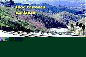 Japan terraces